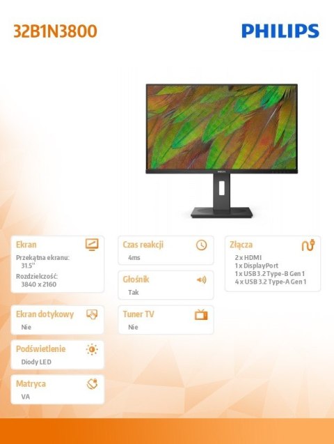 Philips Monitor 31.5 cala 32B1N3800 VA 4K HDMIx2 DP Pivot