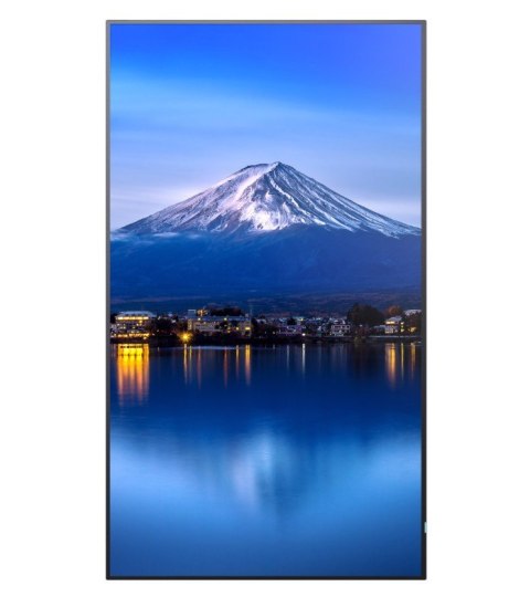 Sharp Monitor wielkoformatowy MultiSync P556 55 cali UHD 700cd/m2 24/7