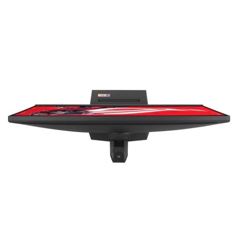 Asus Monitor 31.5 cala XG32UCG ROG 4K UHD 0.03 HDMI DP USB