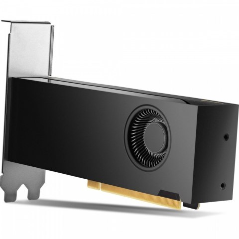 HP Inc. Karta graficzna NVIDIA RTX 2000 Ada 16GB 4mDP GFX 8D6B8AA