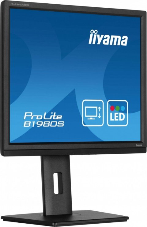 IIYAMA Monitor 19 cali B1980S-B1 HDMI, DP, PIVOT, HAS/150mm