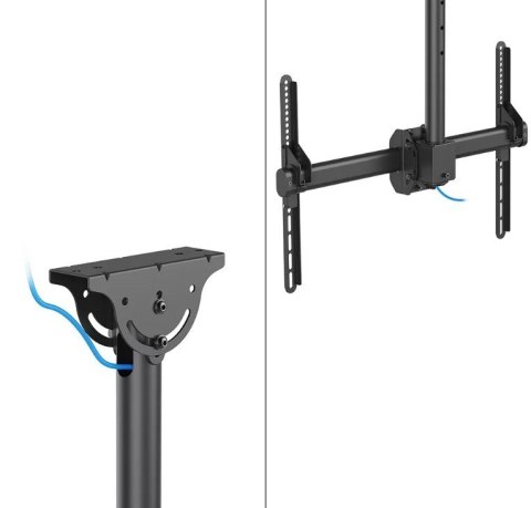 Neomounts Uchwyt sufitowy TV/LCD CL35-440BL16XL 37-70 cali 50kg