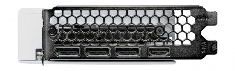 Palit Karta graficzna GeForce RTX 5060 WHITE OC 8GB GDDR7 128bit 3DP/HDMI