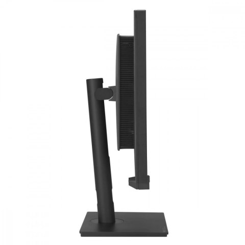 Asus Monitor 31.5 cala PA32KCX 8K UHD MINILED HDMI USBC