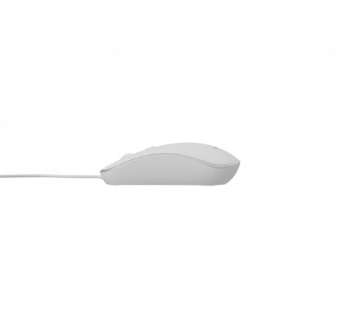 Gembird Mysz optyczna USB 1.35m biało-srebrna