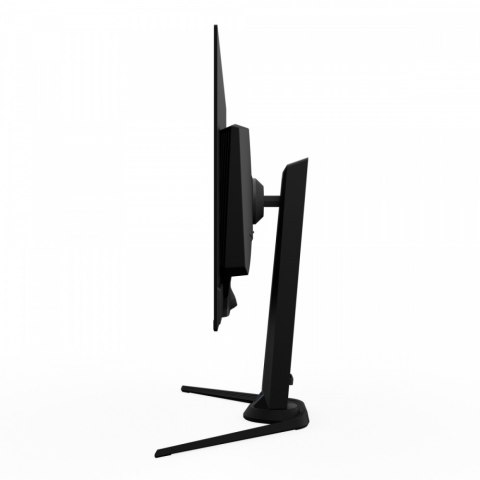 Gigabyte Monitor 31.5 cala FO32U2P OLED 0,03MS UHD 240HZ 4K
