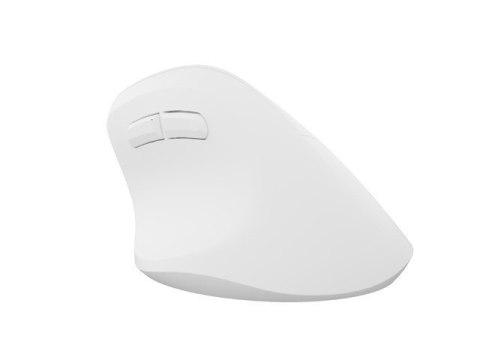 Natec Mysz bezprzewodowa wertykalna Crake 2 BT 5.2 + 2.4GHz biała