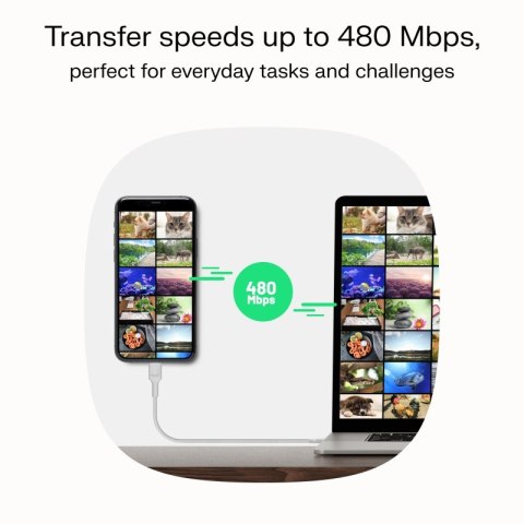Green Cell Kabel USB-C-USB-C PowerStream 100W oplot 0.3m czarny