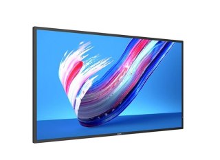 Philips Monitor wielkoformatowy 43BDL3650Q 43 cale