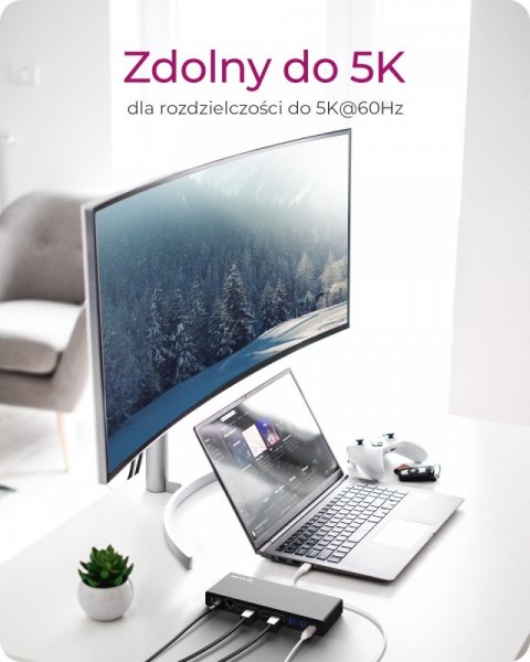 IcyBox Stacja dokująca IB-DK2245AC 13w1, 2xDP,2xHDI,USB, LAN, USB-C, PD do 60W