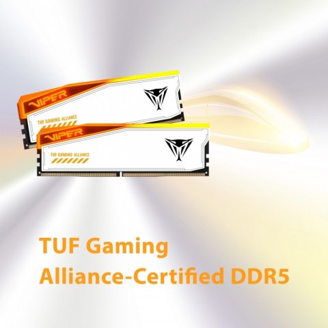 Patriot Pamięć DDR5 Viper Elite 5 RGB TUF 32GB/6600 (2x16GB) CL34